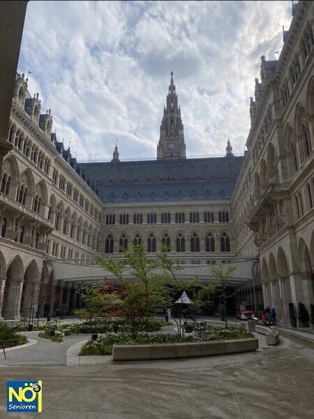 WhatsApp Image 2026 04 17 at 13.32.09 7